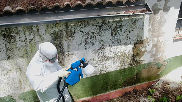 Top rated local Commercial Mold Remediation specialists in Hillsboro, OR